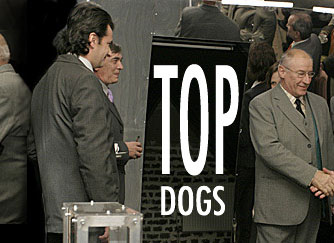 Top Dogs (Someri de lux)
